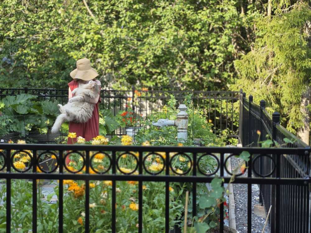 Längtan efter trädgården