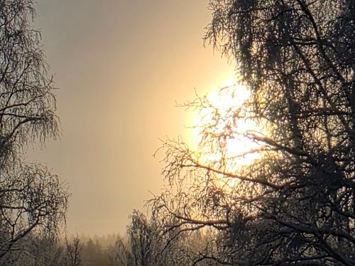 Identifiera tankar som inte gynnar dig