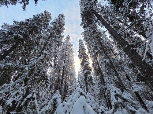 Se alternativ till rädsla och stress