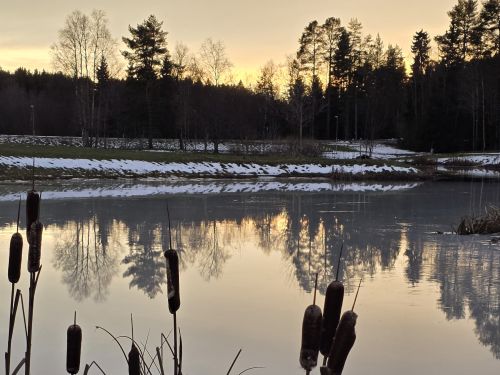 En längtan genom dimmorna i tiden