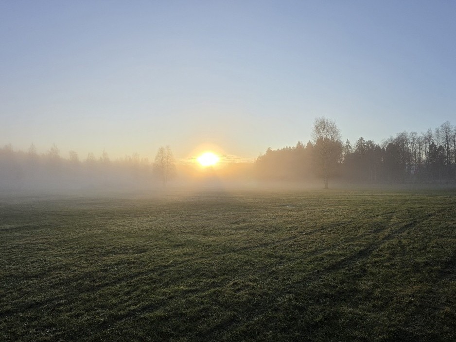 Kärleken jag väntat på