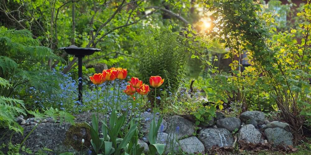 Sista solstrålarna i bersån